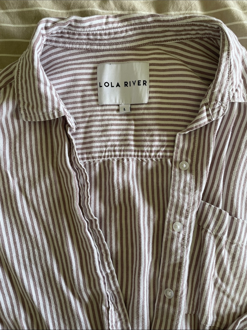 Lola River Women's Striped Button-Down Shirt in Brown and White - Picture 3 of 4